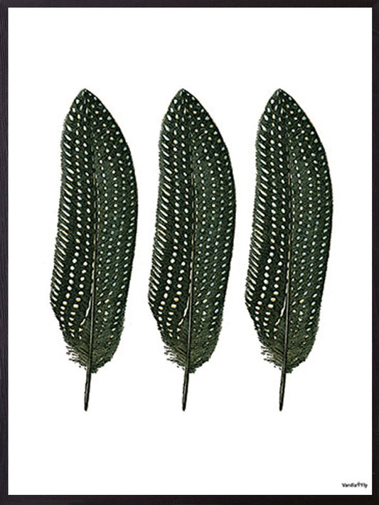 Affisch med fjädrar från pärlhöns