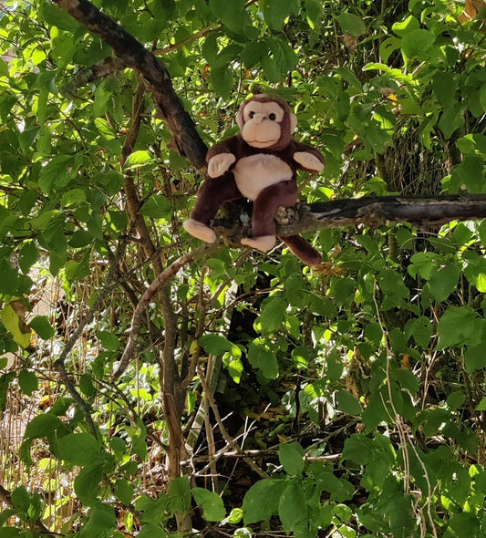 Fingerdocka - djur - apa