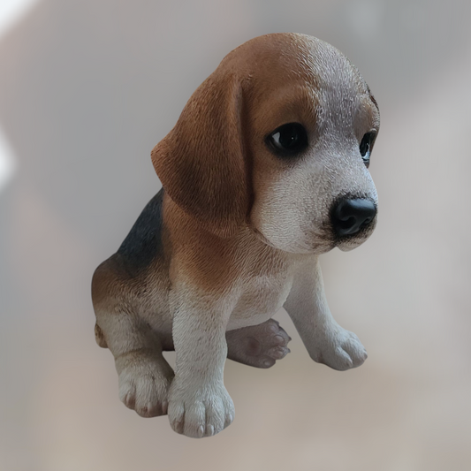 beagle sidder ned og kigger frem