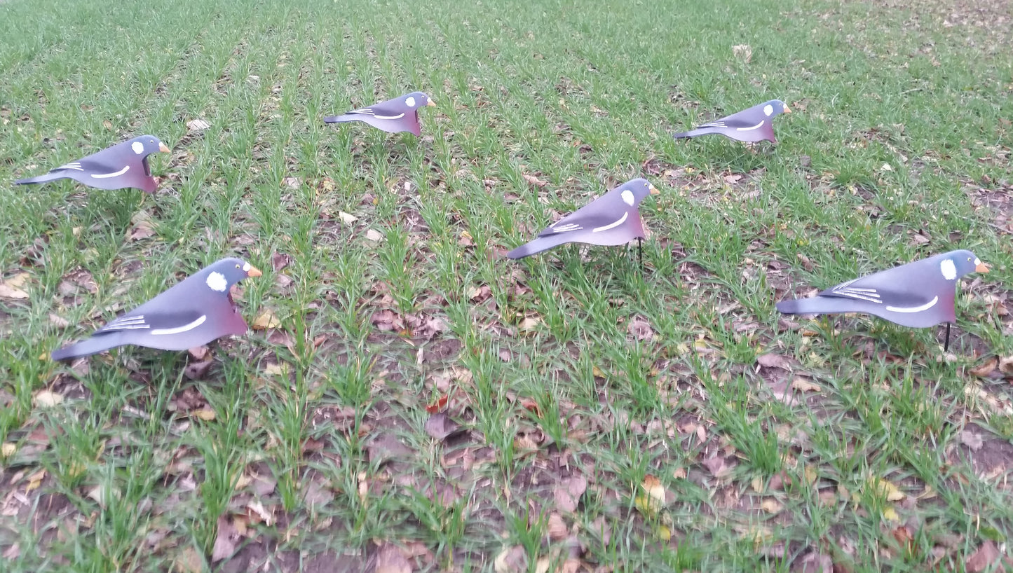 Open Field Duvor lockfåglar