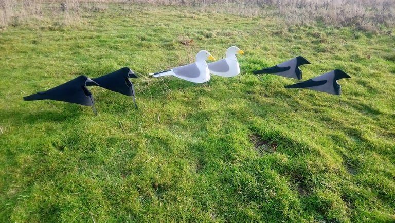 Open Field gråtrut mix(2 gråtrut, 2 torn och 2 kråkor)