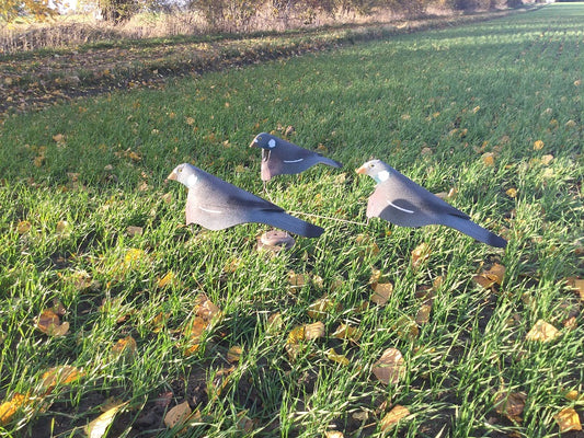 Open Field Duvor lockfåglar med karusell