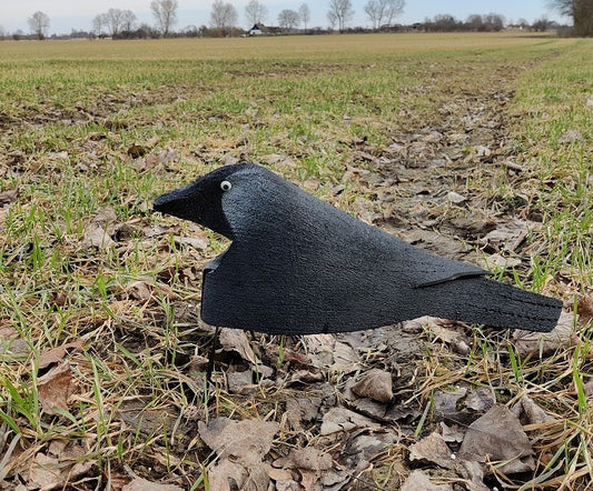 Open FIeld lockfåglar