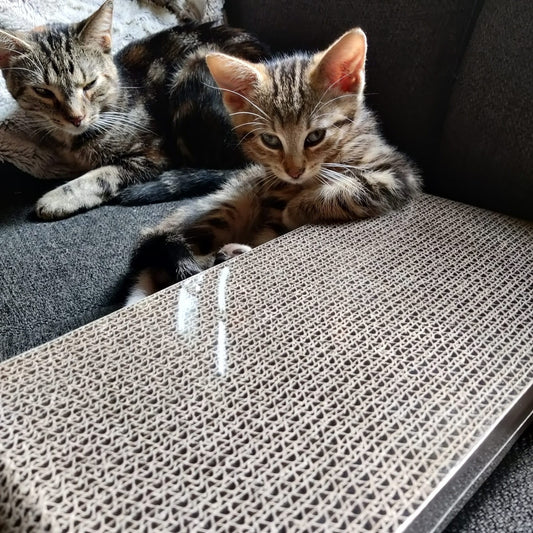 Skrapbräda för katten