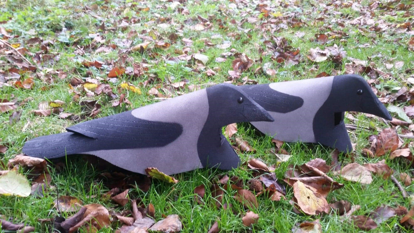 Open Field kråkor lockfåglar