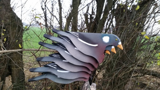 Open Field Duvor lockfåglar