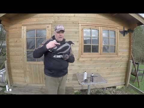 Allt-i-ett paket Kråkor