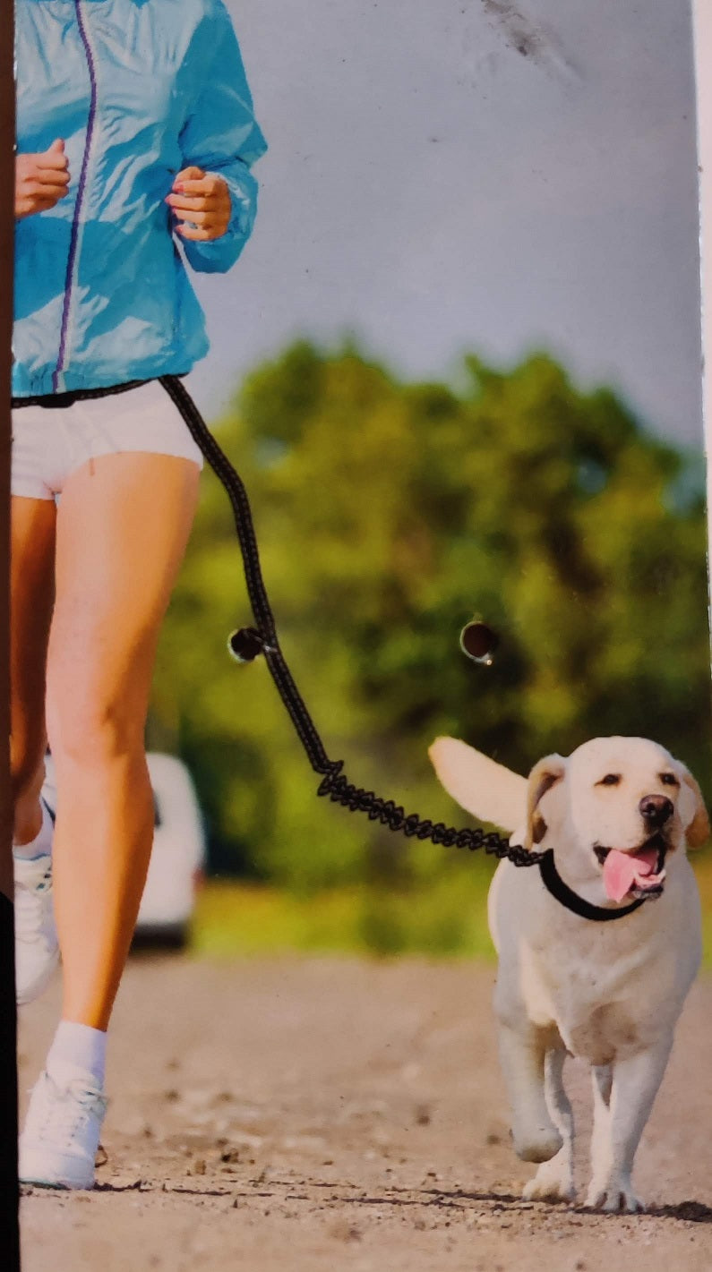 Hundesnor / jogger-line