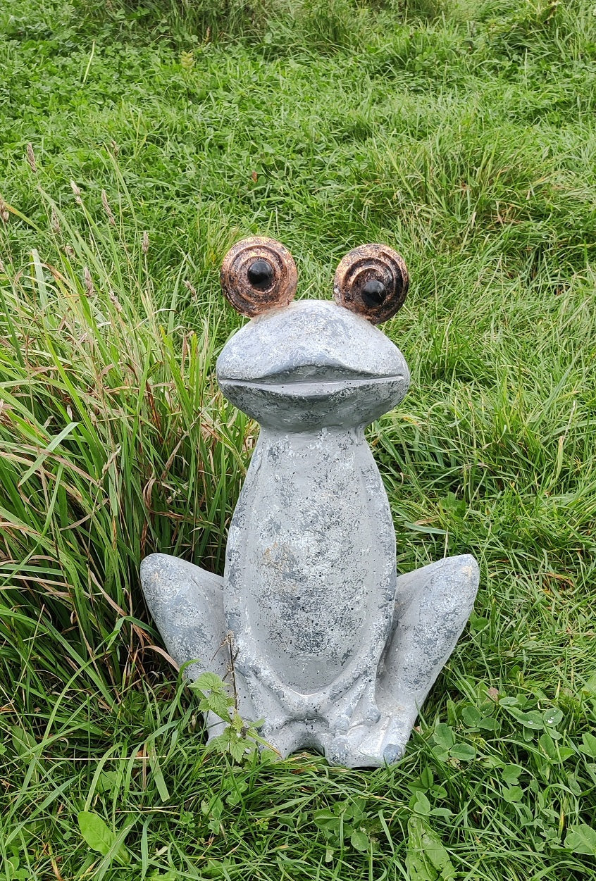 Mr. Froggy - frø