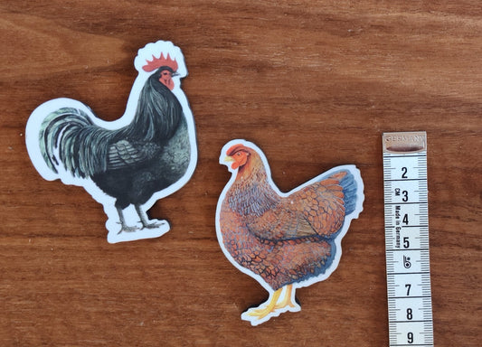 Høns - Magneter