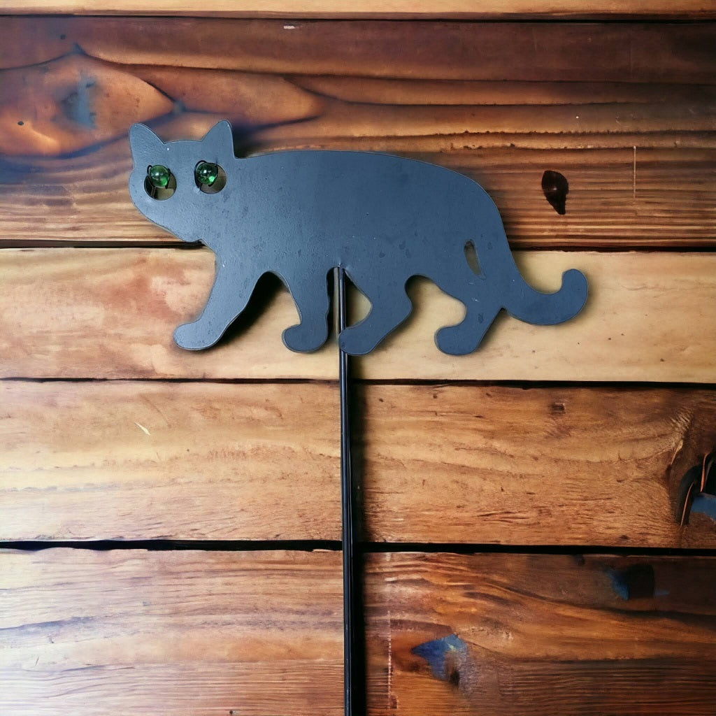 Sort kat med grønne øjne