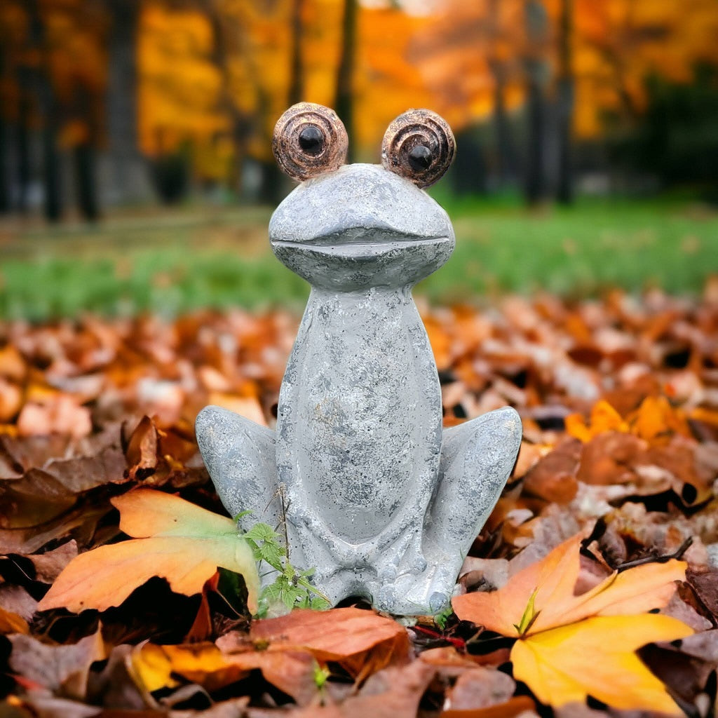 Mr. Froggy - frø