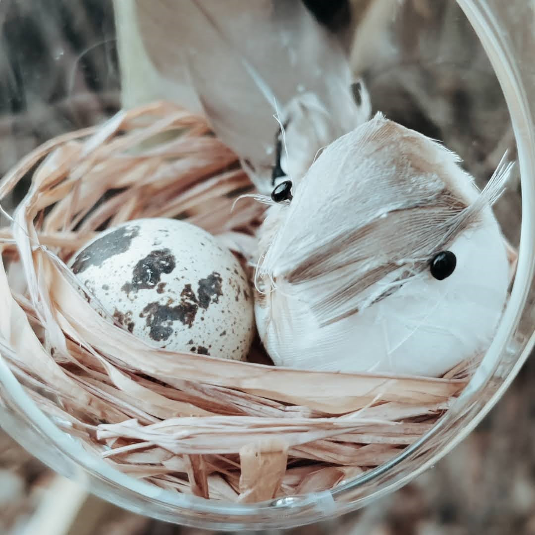 Smukt glasophæng med fugl og æg