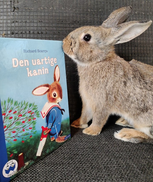 Den Uartige Kanin - børnebog
