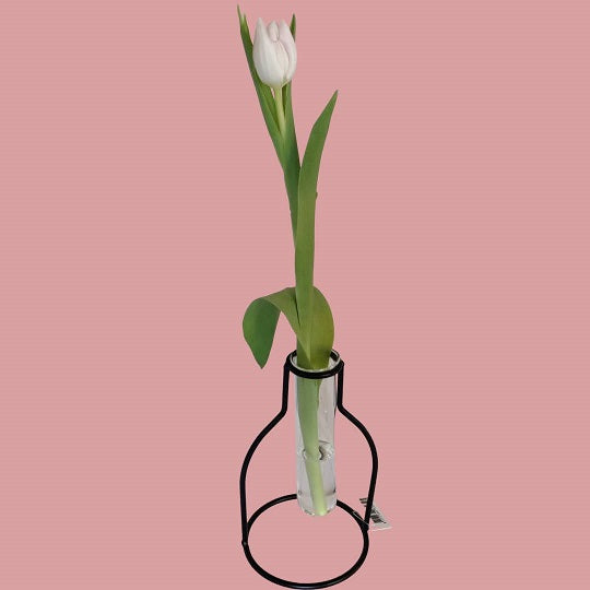 Vase med reagensglas